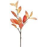 MAGIQ 東京堂 上質な 造花 カノンベイリーフ  #オレンジ FG007725-009