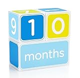 pearhead(ペアヘッド) pearhead マイルストーン・ブロック/ブルー 【ブログ・SNS】【マタニティー】【月齢】 NZPH60040