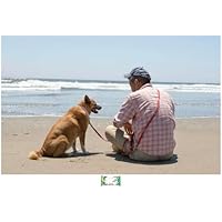 海辺の犬。 (TJMOOK) | トシ |本 | 通販 | Amazon