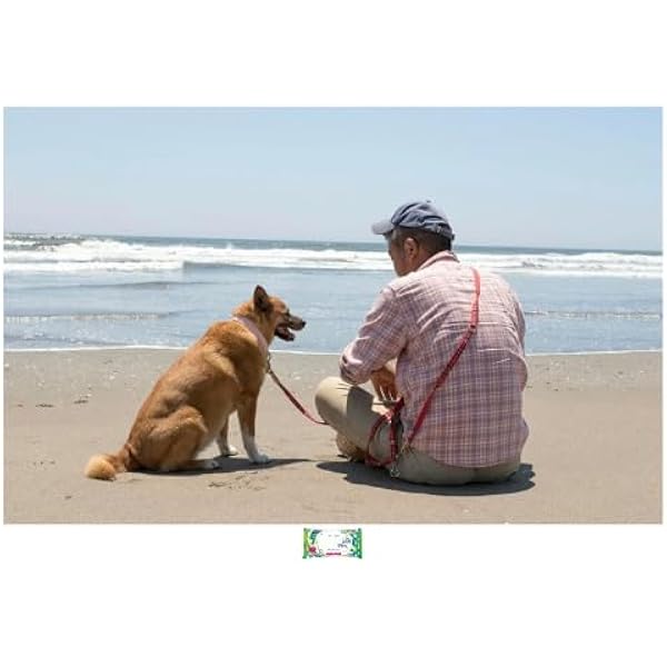 海辺の犬。 (TJMOOK) | トシ |本 | 通販 | Amazon