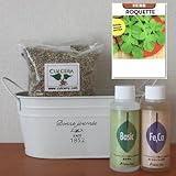 ルッコラ・ロケットの栽培セット/豊作セット（液体肥料付き）プランターホワイト仕様