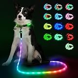 YFbrite 光るリード-防水犬用 15段階点滅モード搭載 - 夜間 Type-C USB充電式-中型犬、大型犬に最適な超高輝度LED犬用リード (180cm)