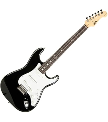 Amazon | FGN/FUJIGEN Basic Classic Series BCTE100RBD (BK/Black