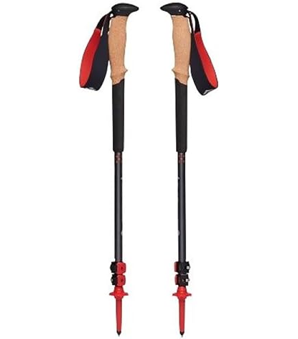 Amazon | エムエスアール(MSR) スキー ポール バックカントリー ダイナ