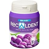 リカルデント ジューシーグレープミント BIGボトル ガム ボトルガム CPP-ACP配合 290g 大容量