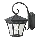 Elk Lighting 8401EW/65 Ridgewood Coach Lantern Small Matte Textured Black Finish [並行輸入品]