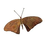 Ancient Graffiti ANCIENTAG1021 Butterfly Wall Mount Flamed Copper