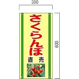 安全・サイン8 「さくらんぼ」の販売促進看板 果物直売看板 600×300mm