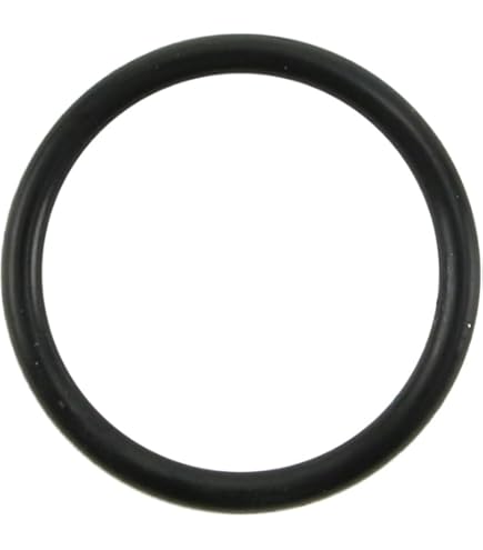 Amazon.co.jp: キタコ(KITACO) Oリング(OY-04) シグナスX等 1個