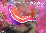 書評 ウミウシ―不思議ないきもの by ちょわ