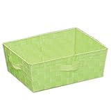 共栄 KYOEI カラーバスケット 収納ボックス カラーボックス 収納ケース バスケット 小物入れ インナーボックス 浅型 幅38×奥行26×高さ13cm ライトグリーン