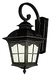 Trans Globe Lighting PL-5424 BK 1-Light Coach Lantern, Black [並行輸入品]