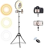 10インチLEDリングライト 撮影用ライト USB給電 三脚190cm 自撮りライト 自撮りスタンド 化粧ライト 補助光 10段階調光 3モ