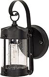 Nuvo 60/635 Textured Piper Lantern with Clear Seed Glass, Textured Black [並行輸入品]