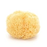 Bellini メディトレニアン・ナチュラルスポンジ/ハニコム10 【お風呂】【海綿】【イタリア産】 NZBL00101