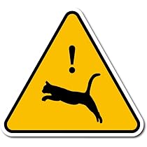 猫Ｊ　値下げしました！ 51e156c22a6b7111e8979f64428a68