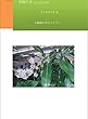 幸福の木　『ドラセナ』咲かせたストーリー