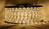 CBconcept 120VLR150FT-WW 120V 2-Wire 1/2-Inch LED Rope Light with 1.0-Inch LED Spacing, 150-Feet, Wa