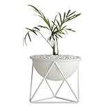 [roomnhome] スタンドプランター 植木鉢 モノスタンド植木鉢 サボテン鉢/花鉢 容器 プランター D Type (White)