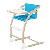 DSベビーバウンサー高さに調節 バウンサーバランス新生児 お食事椅子 ベビーチェア 乳幼児用 揺れ椅子 背もたれ チェア (ステンレス) (靑い)
