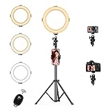 LEDリングライト高安定性 三脚スタンド+照明撮影用ライトセット スマホ 8インチ/3色モード/10輝度調光 180°角度調整可能 撮影スタ