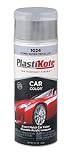PlastiKote 1024 Ford Silver Metallic Automotive Touch-Up Paint - 11 oz. [並行輸入品]