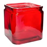 Flower Rose Glass Lip Cube Vase Decorative Centerpiece For Home or Wedding by Royal Imports - 5 Tall