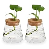 Kichvoe デスクトップ 植物 テラリウム、 2個 水耕栽培 ガラス 花瓶 木付き 蓋 ベタ 魚 タンク 水 植物 テラリウム ジャー 透明 繁殖 ステーション