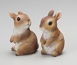 SH201534　森のうさぎ　S　２個セット