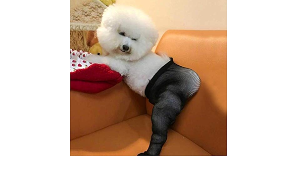 Amazon 犬の黒いストッキングヒップコスチューム ペット面白いコスプレアピールメッシュロングソックステディ ラグドール シュナウザー シチョンのアクセサリー Diy 工具 ガーデン