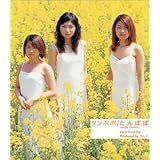 たんぽぽ (Single Version)
