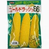 とうもろこし 種 【 ゴールドラッシュ86 】 種子 小袋（約500粒）