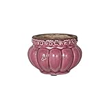 DULTON(ダルトン) プランプリー ポット PLUMPLY POT SMOKY PURPLE K665-695SMP