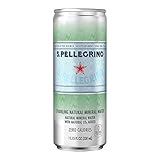 サンペレグリノ（S.PELLEGRINO）炭酸水　プレーン　缶 330mlｘ24本（イタリア直輸入品）ノンアルコール飲料