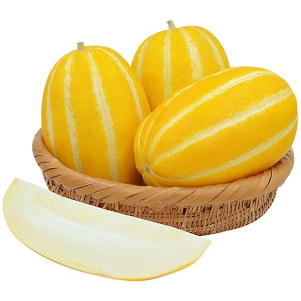 Amazon.co.jp: 【韓国直輸入】チャメ約1kg (マクワウリ/ゴールドメロン