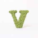 A plus floral art インテリアグリーン イニシャルモス [ V ] アルファベット オブジェ 置物 苔 イニシャル 雑貨 北欧風 インテリア