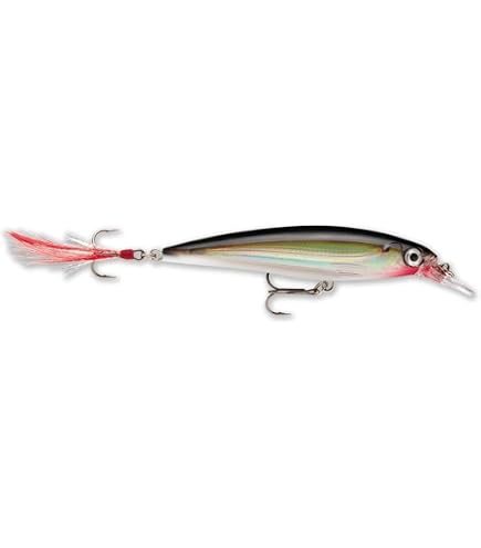 Amazon.co.jp: Rapala(ラパラ) ミノー Xラップ 8cm 7g ゴールド G XR8