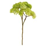 SONONIA 2個入り　人工　フルーツ　多肉植物　草　砂漠　植物　フラワーアレンジメント　装飾　インテリア　グリーン