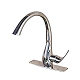 Rozin クロムめっき 洗面所 台所用 蛇口 プルアウトスプレーノズルを装備 キッチン用 じゃぐち 混合栓