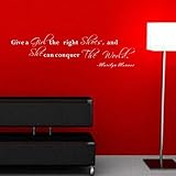 Pop Decors WL-0008-Va Inspirational Quote Wall Decal Give A Girl The Right Shoes [並行輸入品]