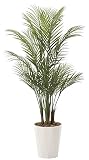 観葉植物 造花 「アレカパーム 135cm」 光触媒(空気清浄) インテリアグリーン 鉢植
