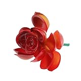 Dovewill 全１６タイプ　プラスチック多肉植物　生活を彩る　治癒系　造花　人工植物　DIY　飾り付け　店舗装飾　インテリア　 - タイプ14
