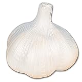 国華園　ニンニク種球　ホワイトニンニク(バラ)　1kg【※発送が国華園からの場合のみ正規品です】