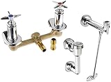 Zurn Z873E2-EVB-IS Clinical Service Sink Faucet. [並行輸入品]
