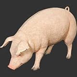 ＦＲＰアニマルオブジェ　　母さん豚