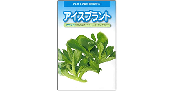 Amazon アイスプラント プチサラ 種子 60粒 野菜