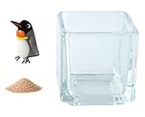 花市場直送便 ミニチュアガラス キングペンギン & カラーサンド ベージュ & 植え込み用グラス ニューブロックS