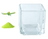 花市場直送便 ミニチュアガラス プテラノドン B & カラーサンド ライトグリーン & 植え込み用グラス ニューブロックS
