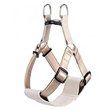 Beanspet 犬用レザーハーネス 中型犬 大型犬 胸当てパッド付き 本革風 マイクロファイバーレザー 4サイズ 4カラー 調整可能 おしゃれ 散歩用 (ゴールド, L)