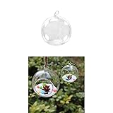 SunniMix 吊り　ガラス　フラワー　花瓶　水耕　テラリウム　容器　2個　家　オフィス　良い装飾